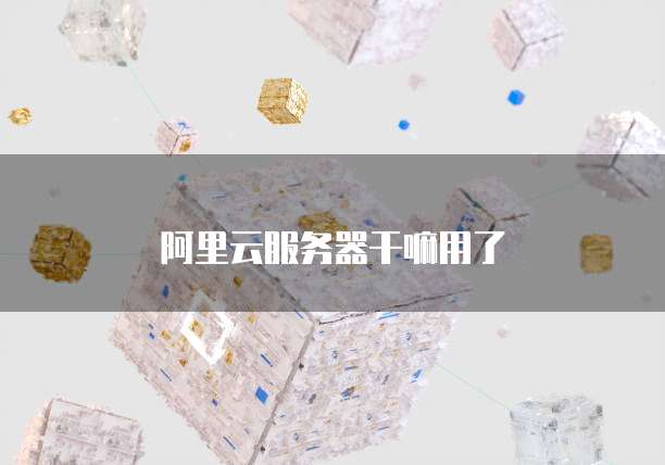 阿里云服务器干嘛用了