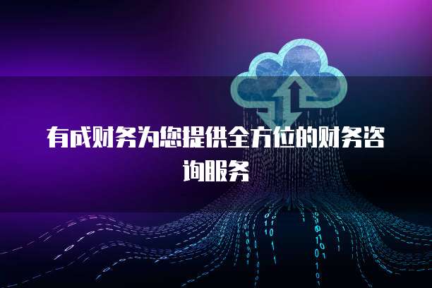 有成财务为您提供全方位的财务咨询服务