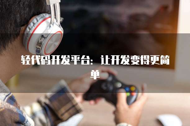 轻代码开发平台：让开发变得更简单