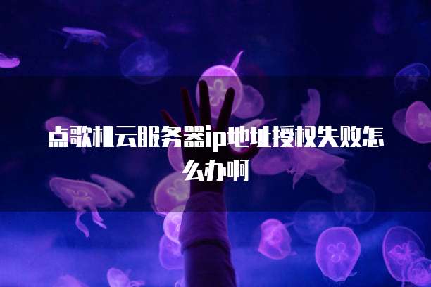 点歌机云服务器ip地址授权失败怎么办啊