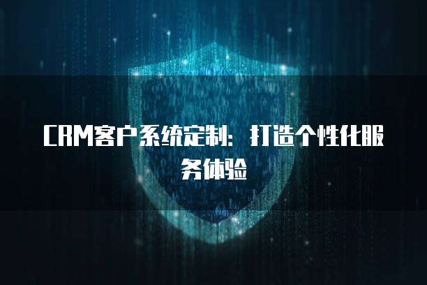 CRM客户系统定制：打造个性化服务体验