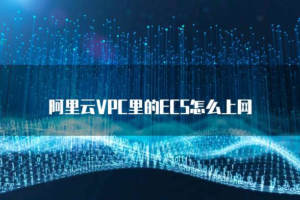 阿里云VPC里的ECS怎么上网