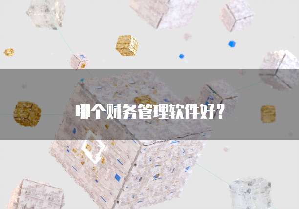 哪个财务管理软件好？