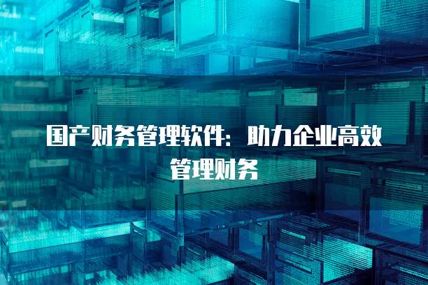 国产财务管理软件：助力企业高效管理财务