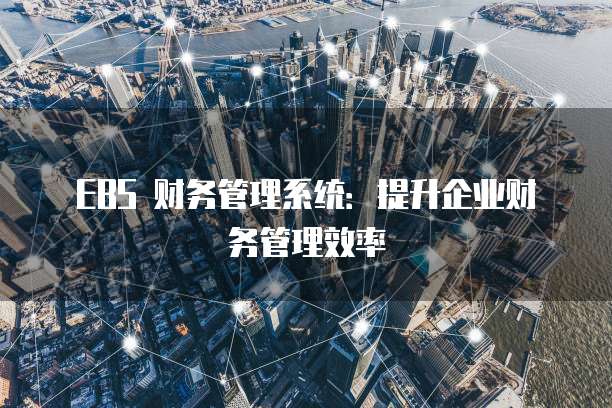 EBS 财务管理系统：提升企业财务管理效率