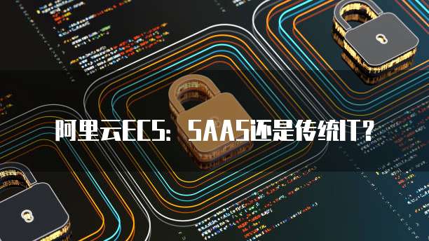 阿里云ECS：SAAS还是传统IT？