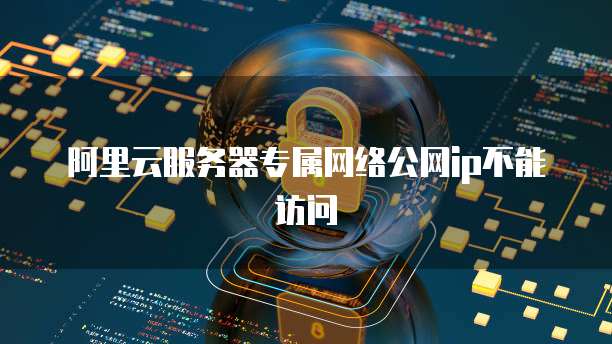 阿里云服务器专属网络公网ip不能访问