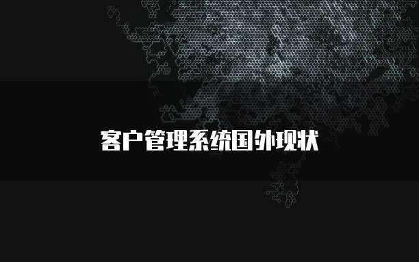 客户管理系统国外现状