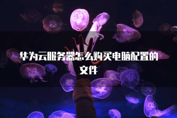 华为云服务器怎么购买电脑配置的文件