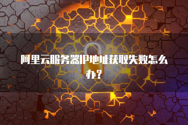阿里云服务器IP地址获取失败怎么办？