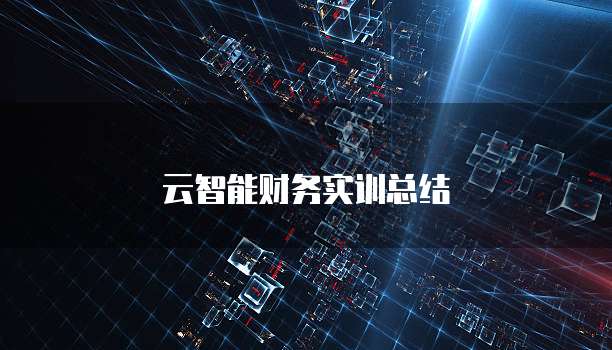 云智能财务实训总结