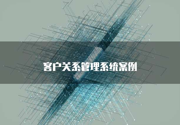 客户关系管理系统案例