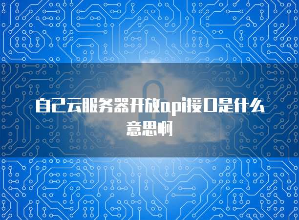 自己云服务器开放api接口是什么意思啊