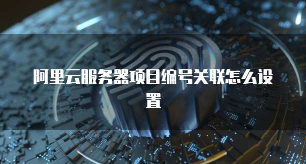 阿里云服务器项目编号关联怎么设置