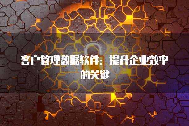 客户管理数据软件：提升企业效率的关键