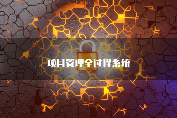 项目管理全过程系统