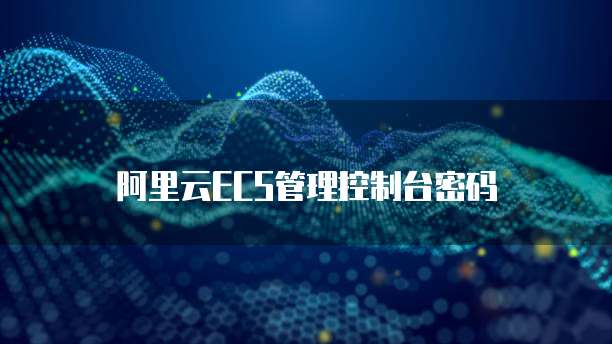 阿里云ECS管理控制台密码